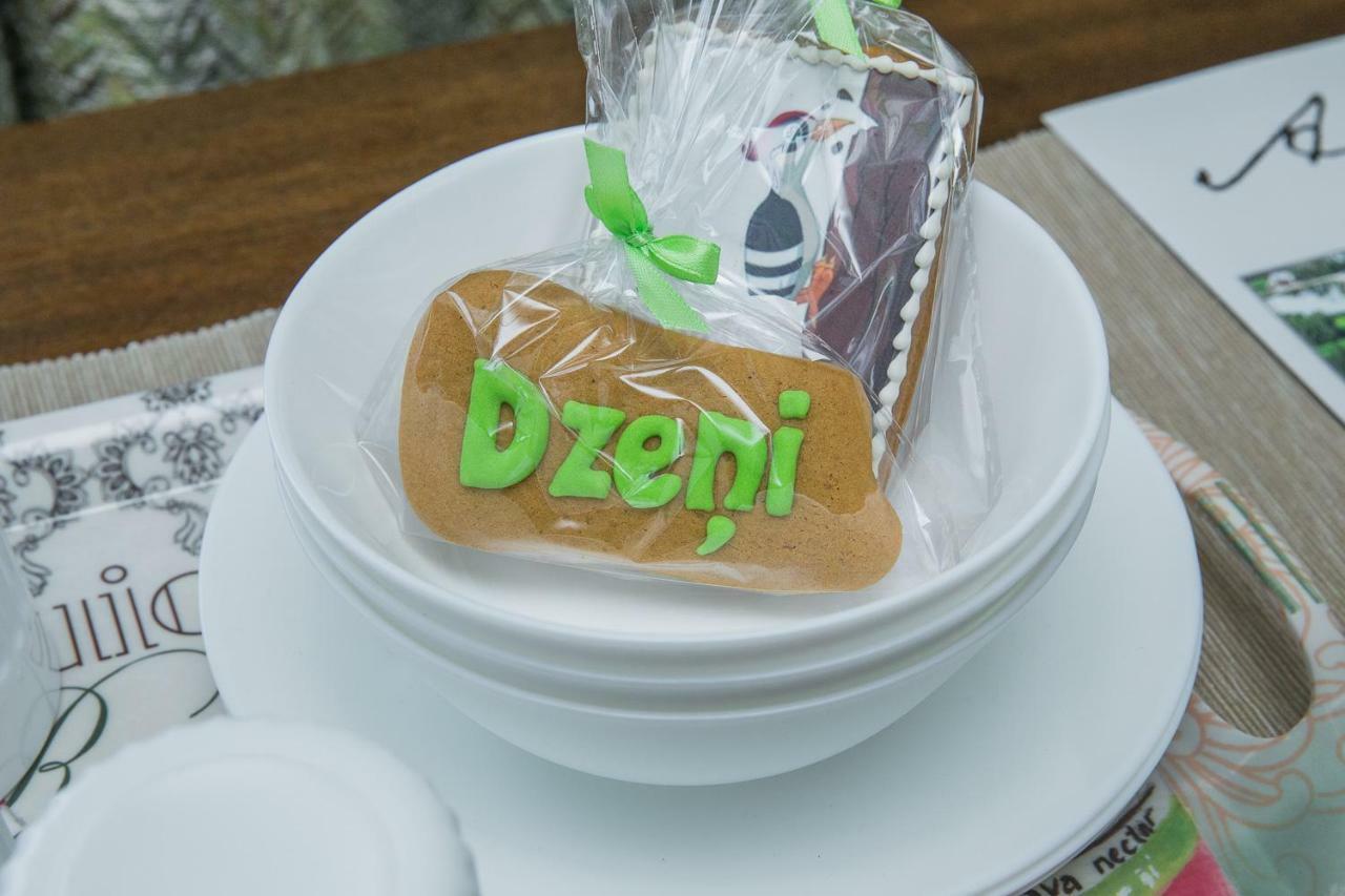 Dzeni Guest House Amatciems Luaran gambar