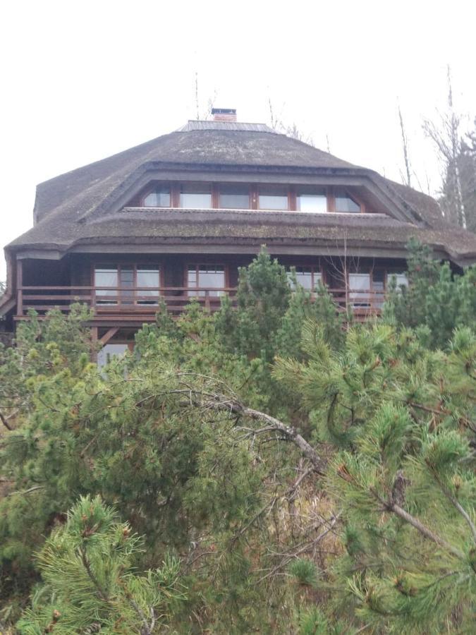 Dzeni Guest House Amatciems Luaran gambar
